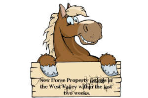 Horse Property in West Phoenix